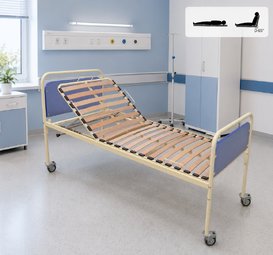 Кровать функциональная двухсекционная модели ЛФ.2.1.2.1.Д